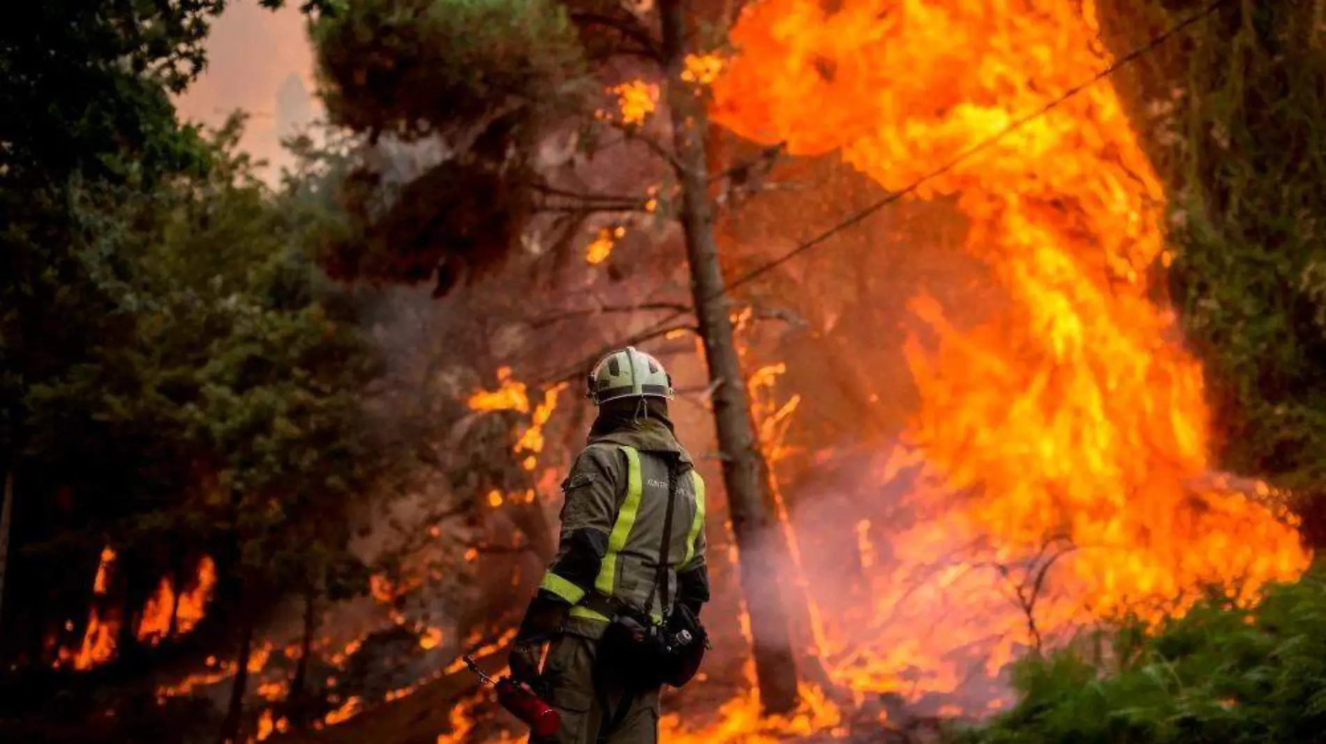 Incendios forestales